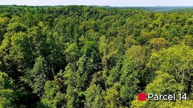 0 Crooked Tree Rd, Dexter City, OH 45727 - photo 7