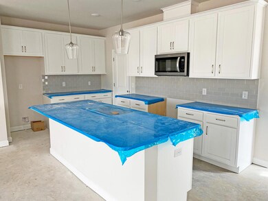 209 Grappa Way, Summerville, SC 29486 - photo 6