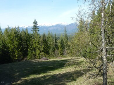 30179 Chintzey Ln, Bigfork, MT 59911 - photo 4