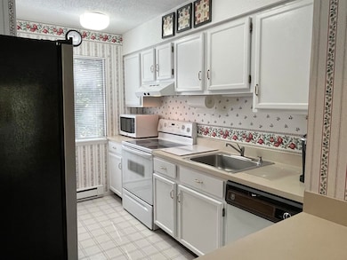 38 Windsor Hill Way unit 105, Waterville Valley, NH 03215 - photo 7