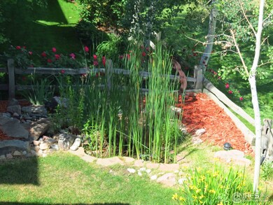 13439 Marion St, Thornton, CO 80241 - photo 5