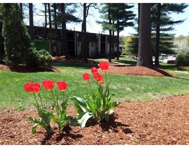 2 Greenbriar Dr unit 202, North Reading, MA 01864 - photo 3