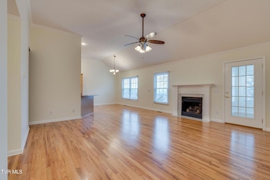 4150 Cooks Point, Kingsport, TN 37664 - photo 4