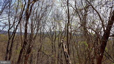 0 Stonewall Jackson Hwy unit 1001864226, Front Royal, VA 22630 - photo 5