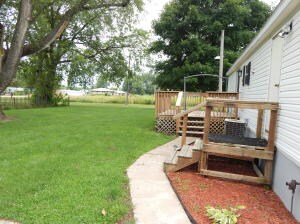 Back yard