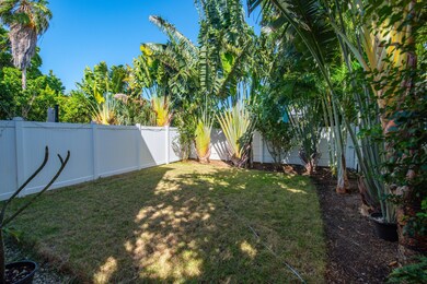 Great Backyard