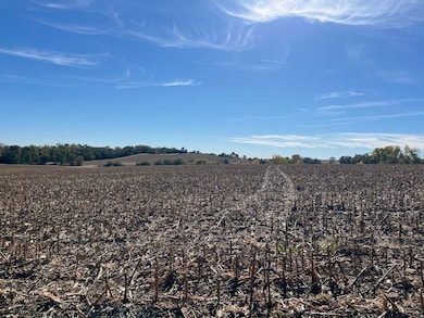 650 County Road R, Yutan, NE 68073 - photo 2