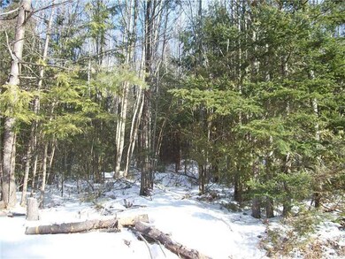 70 Hebron Rd, Buckfield, ME 04220 - photo 3