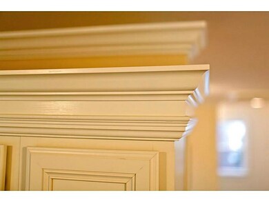 View. Wood Detail