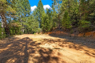 0 Drum Powerhouse Rd unit 225091514, Alta, CA 95701 - photo 6