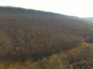 0 Highway 27 unit 1513626, Whitwell, TN 37397 - photo 2