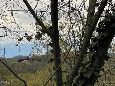 photo4