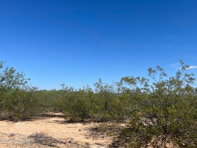 8388 Howling Coyote Trail, Tucson, AZ 85735 - photo 3