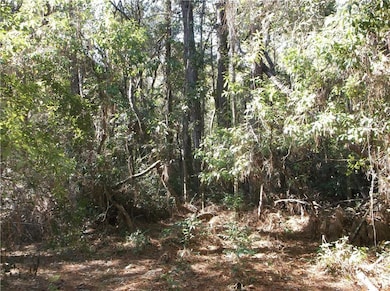 0 Murray Rd unit 7662707, Irvington, AL 36544 - photo 5