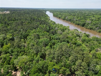 Aerial overview on the Altamaha River.