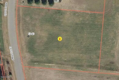 5140 Little Farm Rd, Elm City, NC 27822 - photo 3