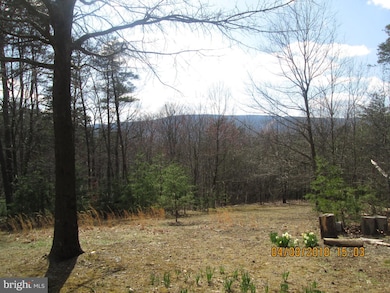 185 Plum Tree Ln, Berkeley Springs, WV 25411 - photo 3