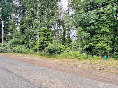 0 XX NE 2nd St, Winlock, WA 98596 - photo 6