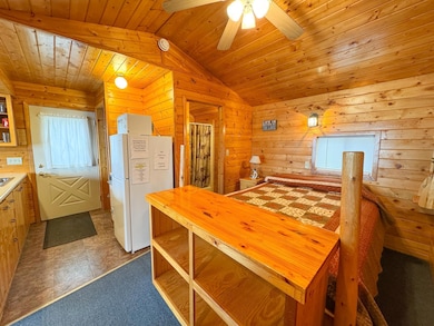 27621 County Highway 83 unit 1, Battle Lake, MN 56515 - photo 7