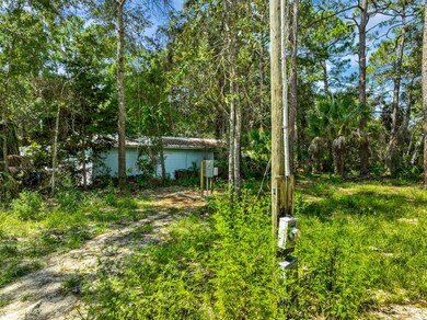 0 TBT 1st St, Steinhatchee, FL 32359 - photo 7