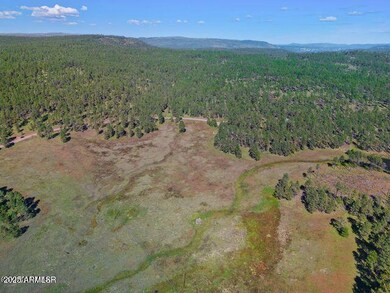 1A Forest Road 26 --, Alpine, AZ 85920 - photo 5