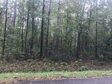TBD Community Road 4