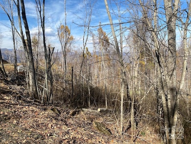 999 Bear Springs Rd unit QQ, Bakersville, NC 28705 - photo 3