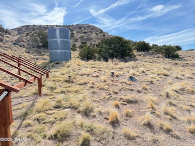 8 N6420, Saint Johns, AZ 85936 - photo 2