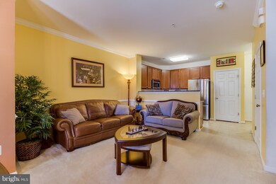 15787 John Diskin Cir unit 95, Woodbridge, VA 22191 - photo 6