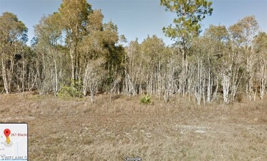 261 Blackstone Dr, Lehigh Acres, FL 33913 - photo 2