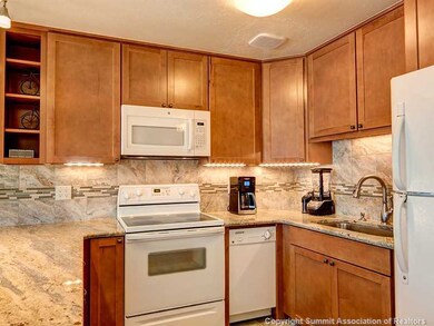 144 Gold Run Cir unit 21, Dillon, CO 80435 - photo 7