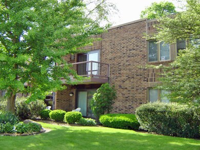271 W 1st St unit 2B, Elmhurst, IL 60126 - photo 4