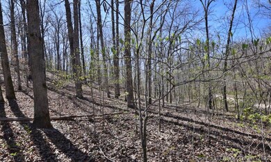 29275 Buffalo Hunt Ridge Rd, Proctor, OK 74457 - photo 4