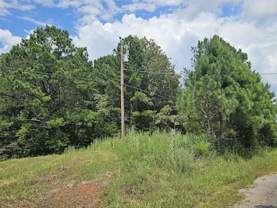 0 Young Ridge Rd unit RTC2818522, Sparta, TN 38583 - photo 5