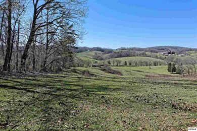 147 Frank Bend Ln, Rutledge, TN 37861 - photo 6