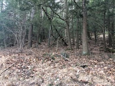 250 Brookfield Rd, Sturbridge, MA 01518 - photo 6