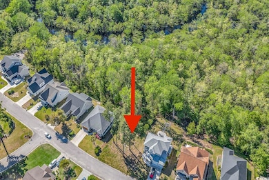 246 Rivers Edge Dr, Conway, SC 29526 - photo 3