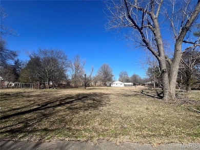 0 James and Baldwin, Kennett, MO 63857 - photo 2