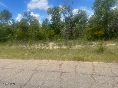 TBD Cachet Ct unit 9, Chipley, FL 32428 - photo 5