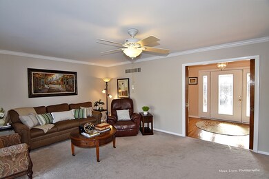 A lovely, large living room!
