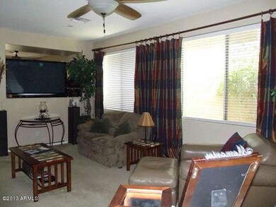 Living Room Windows