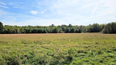 Field