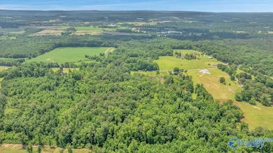 9.0 County Road 122, Fort Payne, AL 35968 - photo 5