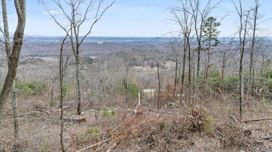 974 Bluff Ledge Trail, Hixson, TN 37343 - photo 7