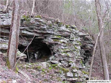 Grotto Caves dot the upper hillside.