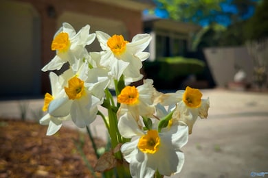 2108 Chapel Hill Rd SW, Decatur, AL 35603 - photo 7