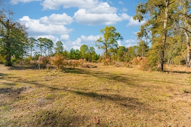 1657 North St, Ray City, GA 31645 - photo 4