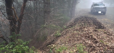 25 Seneca Ct unit 10, Whitethorn, CA 95589 - photo 2