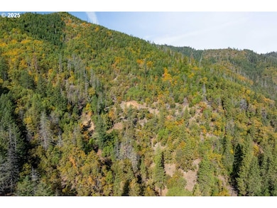 0 Sardine Cr Rd unit 495503255, Goldhill, OR 97525 - photo 7