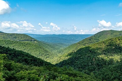 0 Wilson Run Trail unit 667512, Milam, WV 26838 - photo 2